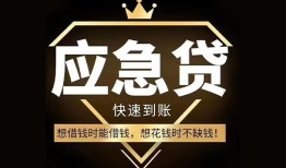 深圳周转本地私借-深圳周转贷款当天放款-深圳周转私人身份证借私借
